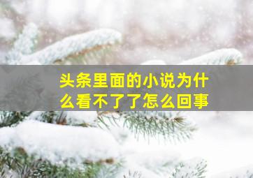 头条里面的小说为什么看不了了怎么回事