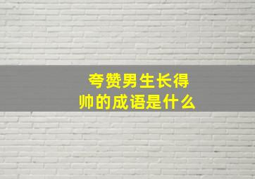 夸赞男生长得帅的成语是什么