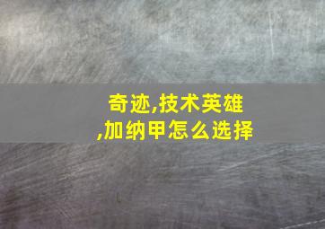 奇迹,技术英雄,加纳甲怎么选择