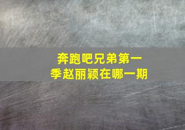 奔跑吧兄弟第一季赵丽颖在哪一期