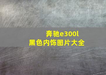 奔驰e300l黑色内饰图片大全