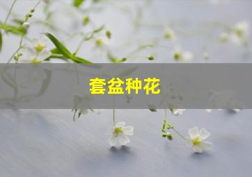 套盆种花