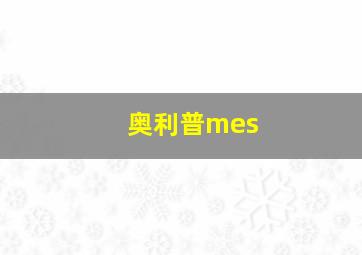 奥利普mes