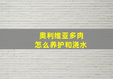 奥利维亚多肉怎么养护和浇水