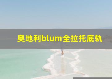 奥地利blum全拉托底轨