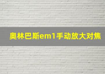 奥林巴斯em1手动放大对焦