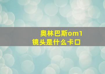 奥林巴斯om1镜头是什么卡口