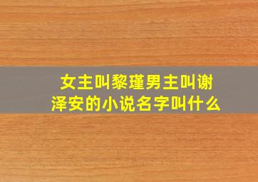 女主叫黎瑾男主叫谢泽安的小说名字叫什么