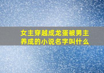 女主穿越成龙蛋被男主养成的小说名字叫什么