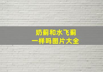 奶蓟和水飞蓟一样吗图片大全