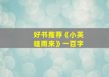 好书推荐《小英雄雨来》一百字