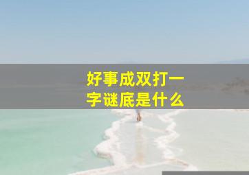 好事成双打一字谜底是什么