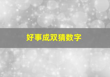 好事成双猜数字