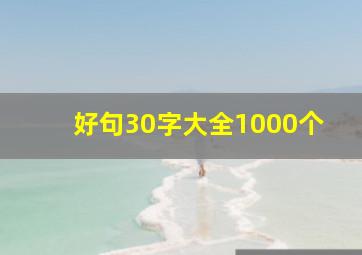 好句30字大全1000个