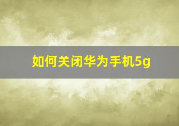 如何关闭华为手机5g