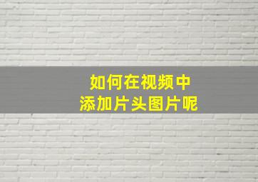 如何在视频中添加片头图片呢