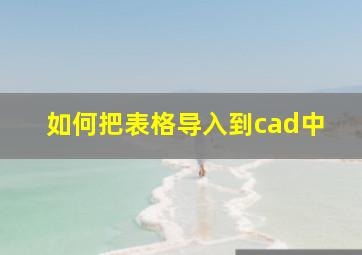 如何把表格导入到cad中