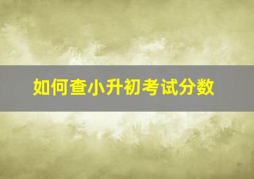 如何查小升初考试分数