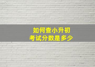 如何查小升初考试分数是多少