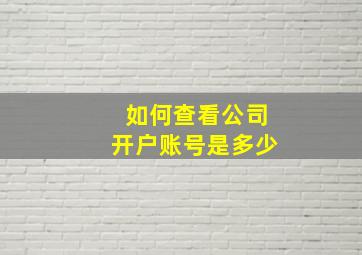 如何查看公司开户账号是多少