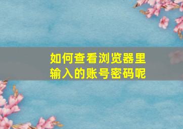 如何查看浏览器里输入的账号密码呢