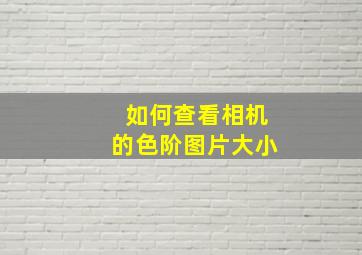 如何查看相机的色阶图片大小