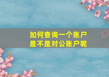 如何查询一个账户是不是对公账户呢