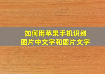 如何用苹果手机识别图片中文字和图片文字