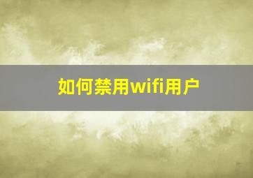 如何禁用wifi用户