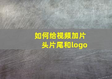 如何给视频加片头片尾和logo