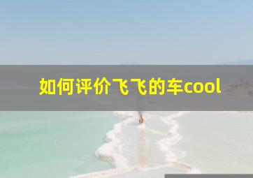 如何评价飞飞的车cool