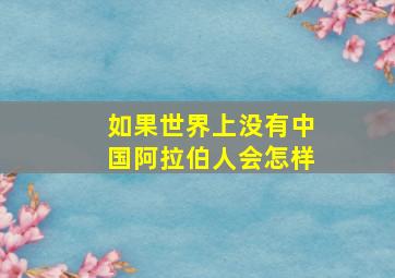 如果世界上没有中国阿拉伯人会怎样