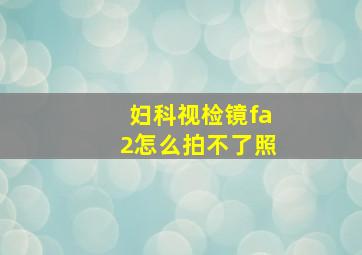 妇科视检镜fa2怎么拍不了照