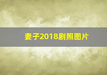 妻子2018剧照图片