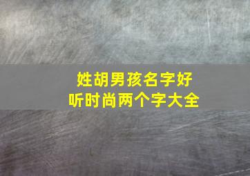 姓胡男孩名字好听时尚两个字大全