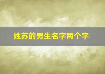 姓苏的男生名字两个字