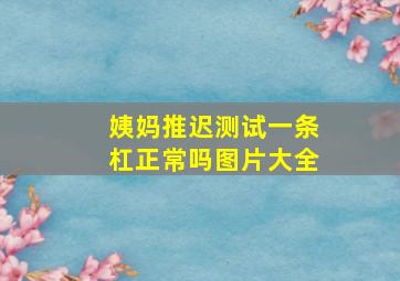 姨妈推迟测试一条杠正常吗图片大全