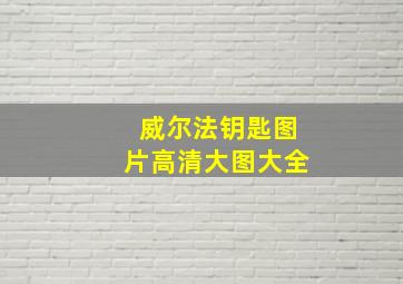 威尔法钥匙图片高清大图大全