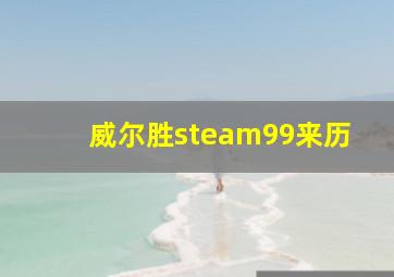 威尔胜steam99来历