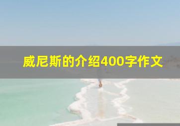 威尼斯的介绍400字作文