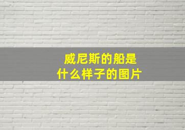 威尼斯的船是什么样子的图片