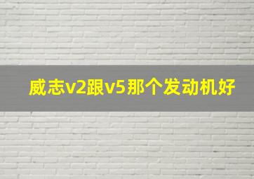 威志v2跟v5那个发动机好