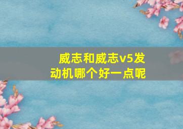 威志和威志v5发动机哪个好一点呢