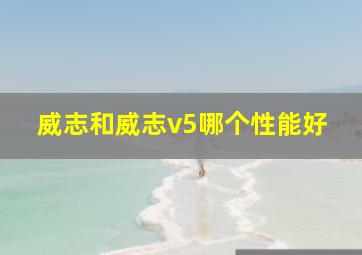 威志和威志v5哪个性能好