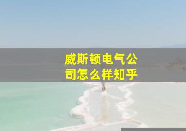 威斯顿电气公司怎么样知乎