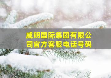 威朗国际集团有限公司官方客服电话号码