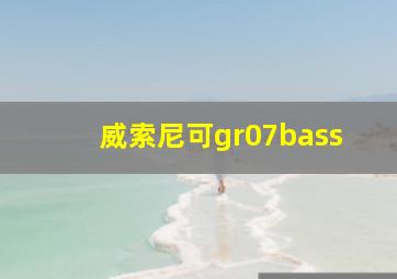 威索尼可gr07bass