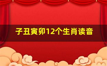 子丑寅卯12个生肖读音