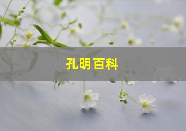 孔明百科