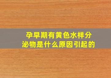 孕早期有黄色水样分泌物是什么原因引起的